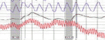 TV polygraph by Lie Detector Guy